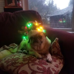 Meet your Posher, Tami